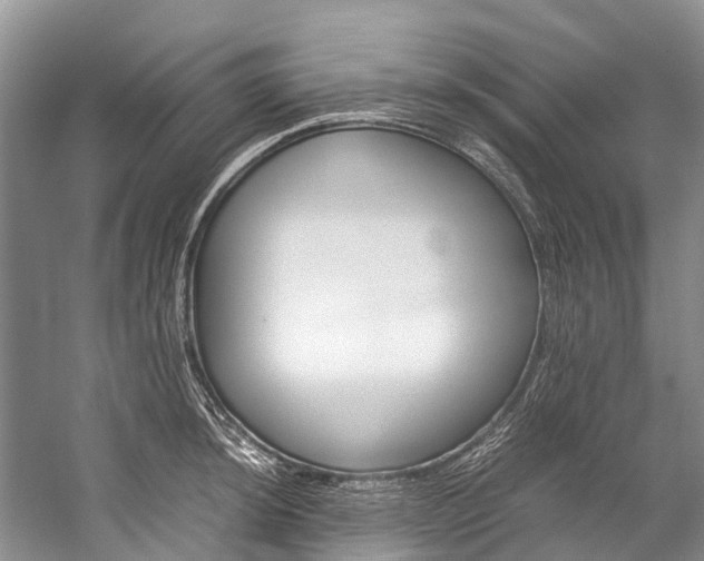 X0000059231044200510140821