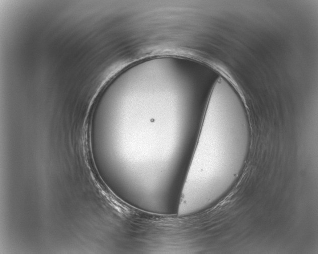 X0000059231048200510140821