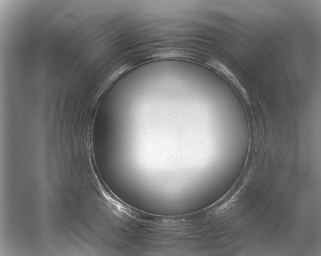 X0000059231049200510140821