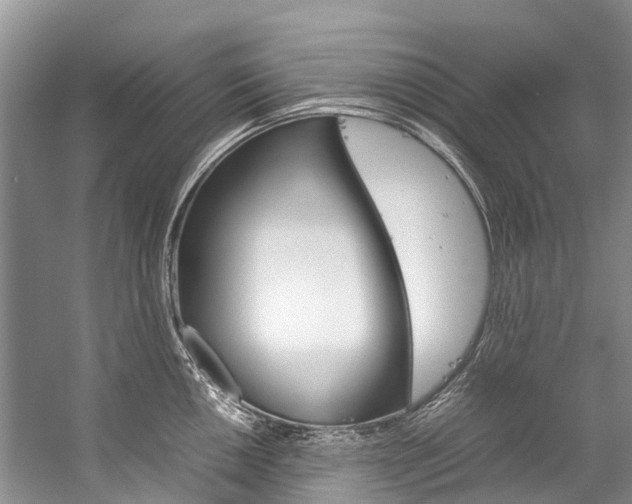 X0000059231050200510140821