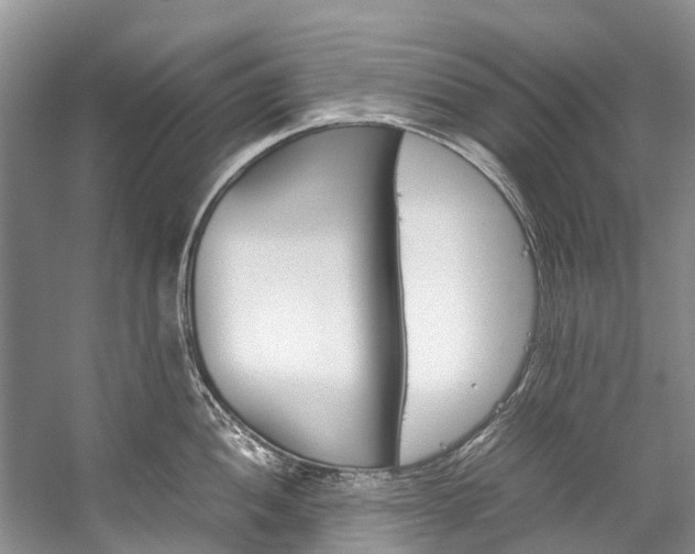 X0000059231052200510140821