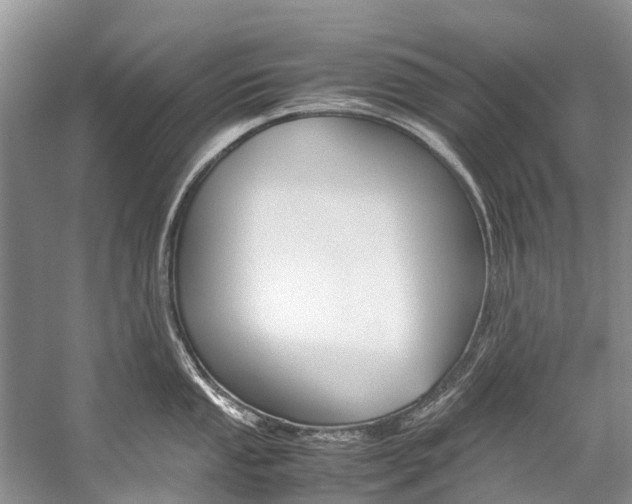X0000059231053200510140821
