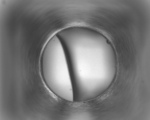 X0000059231056200510140821