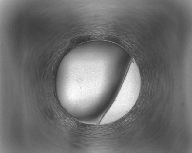 X0000059231057200510140820