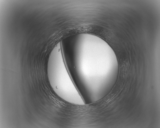 X0000059231058200510140820