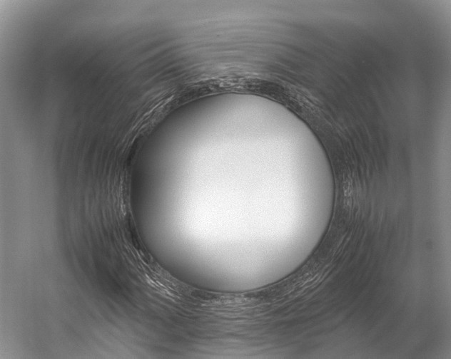 X0000059231060200510140820