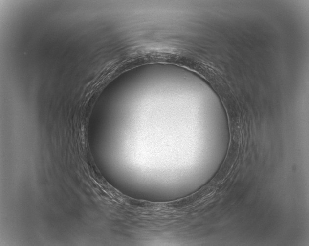 X0000059231061200510140820