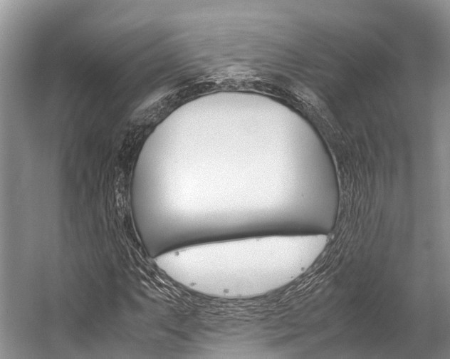 X0000059231063200510140820