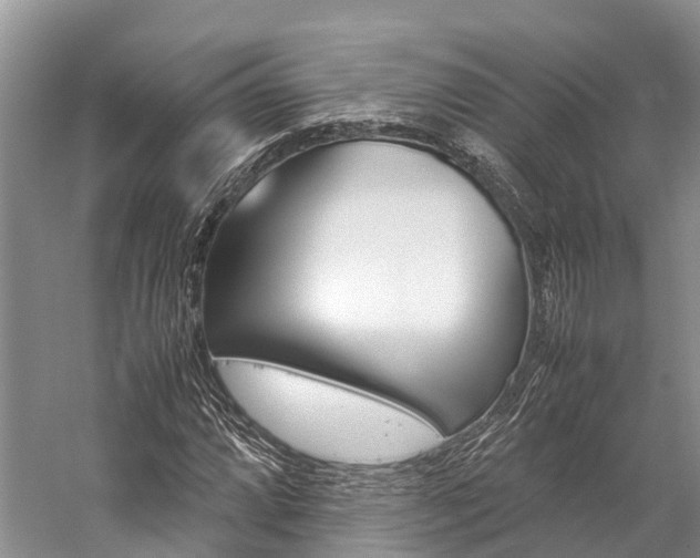 X0000059231064200510140820