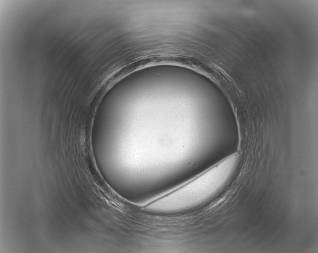 X0000059231065200510140820