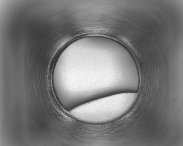 X0000059231071200510140820