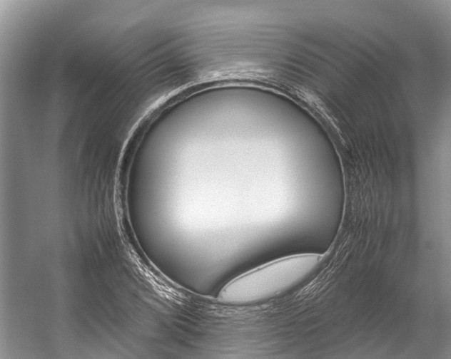 X0000059231072200510140820