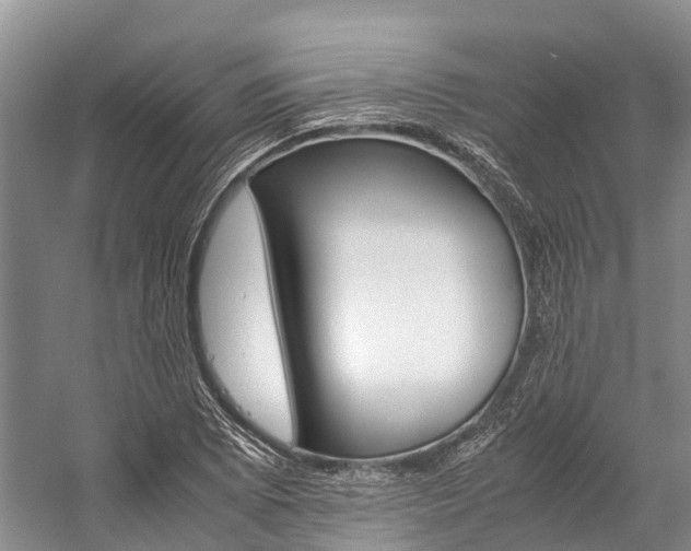 X0000059231073200510140820