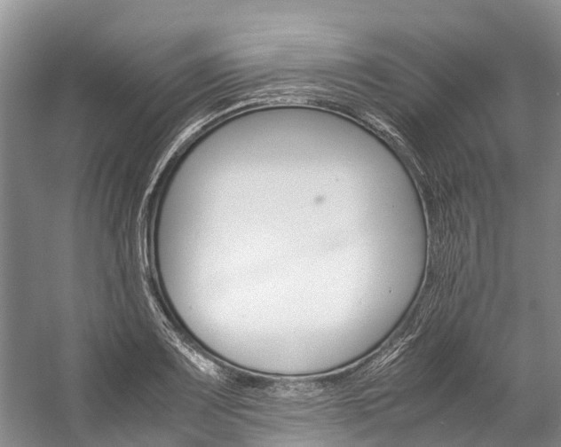 X0000059231083200510140820