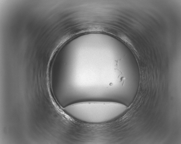 X0000059231088200510140820