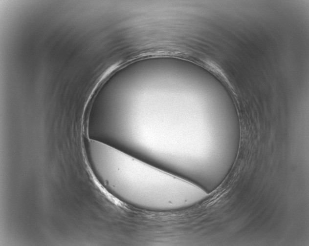 X0000059231095200510140820