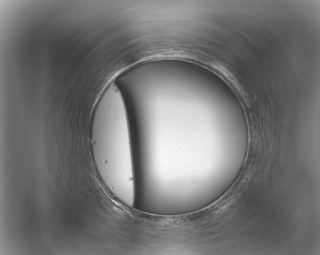 X0000059231097200510140820