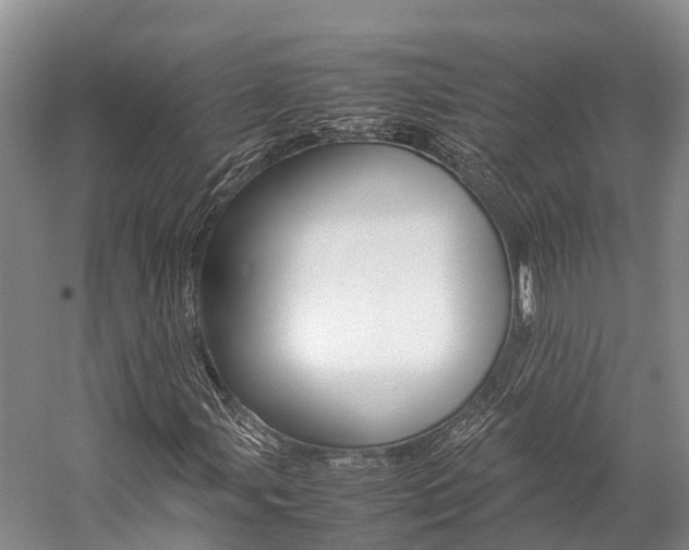X0000059231107200510140819