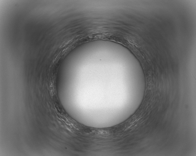 X0000059231109200510140819