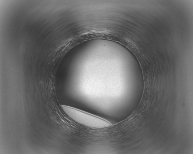 X0000059231110200510140819