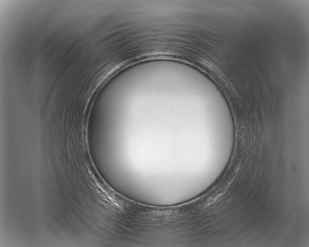 X0000059231121200510140819