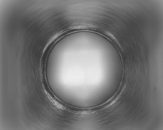 X0000059231122200510140819
