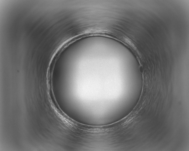 X0000059231124200510140819