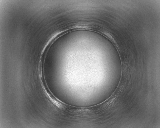 X0000059231131200510140819