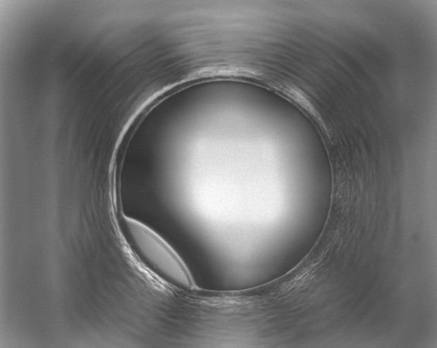 X0000059231132200510140819