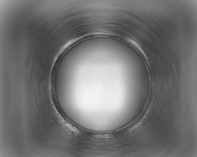 X0000059231133200510140819