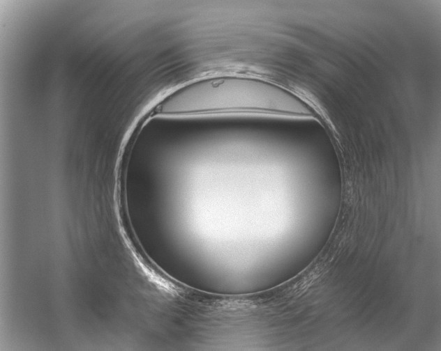 X0000059231136200510140819