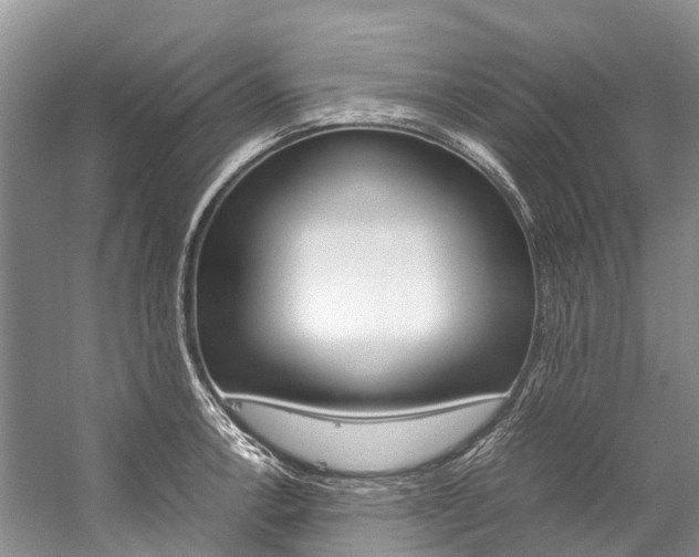 X0000059231138200510140819