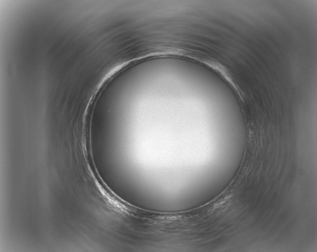 X0000059231143200510140819