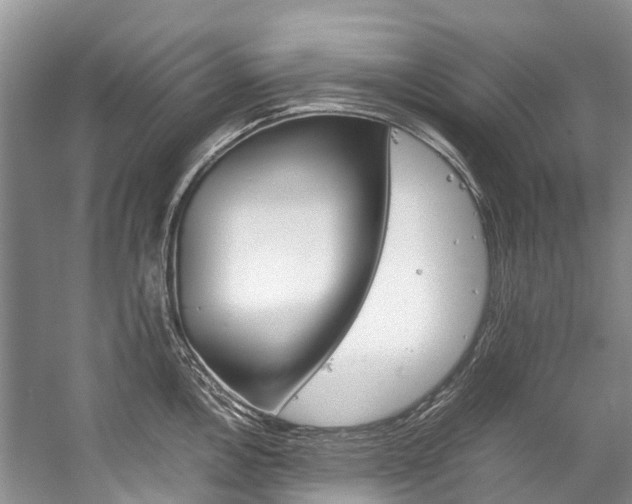 X0000059231146200510140819