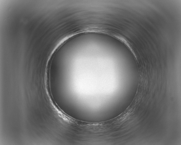 X0000059231147200510140819