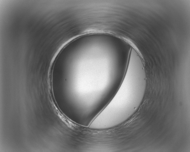 X0000059231148200510140820