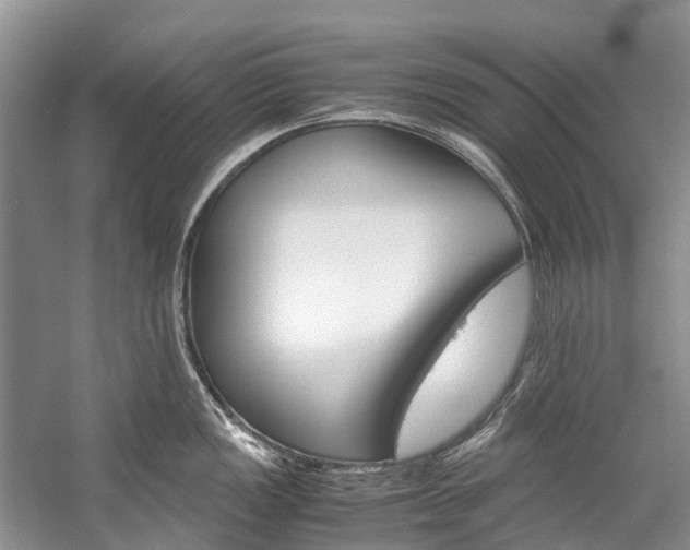 X0000059231149200510140820