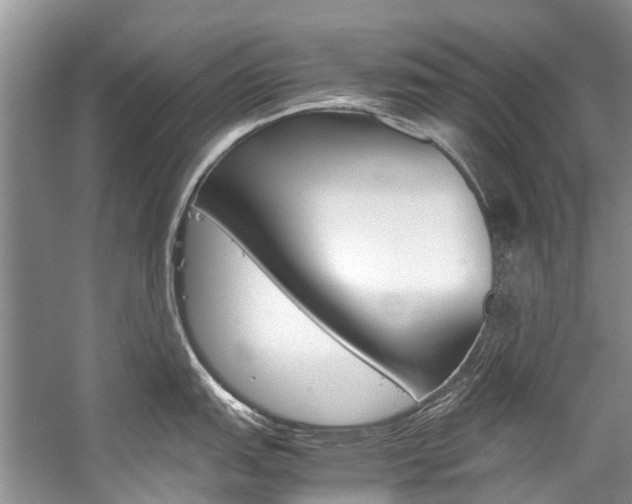 X0000059231151200510140820