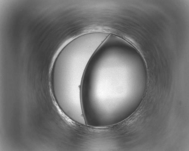 X0000059231152200510140820