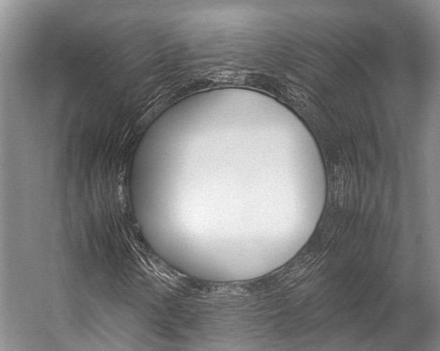X0000059231154200510140819