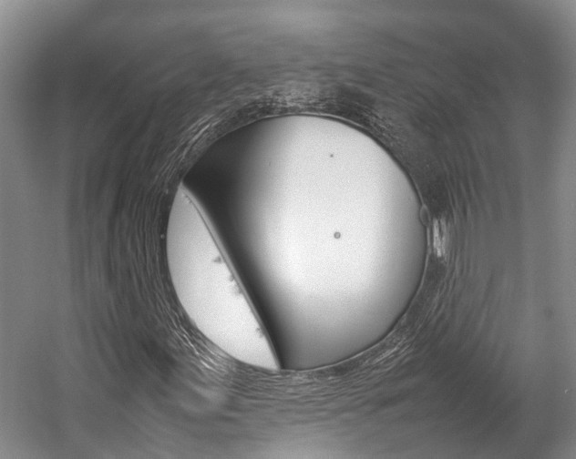 X0000059231155200510140819