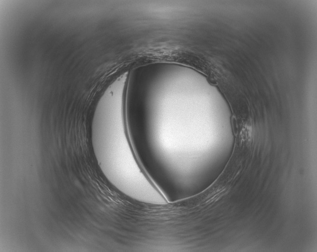 X0000059231156200510140819