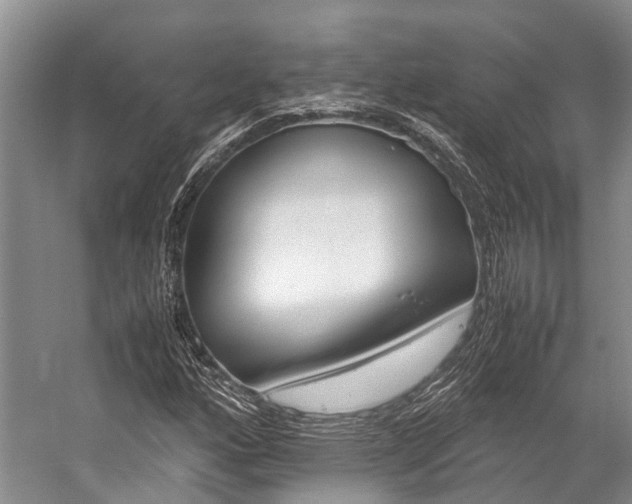 X0000059231160200510140819