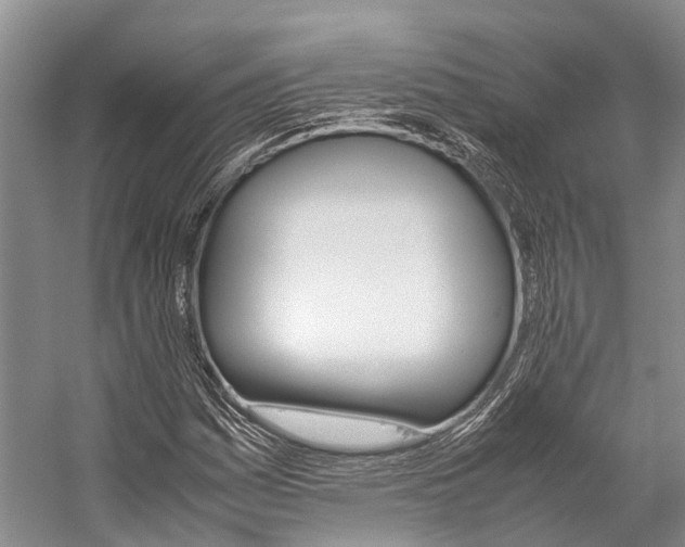X0000059231161200510140819