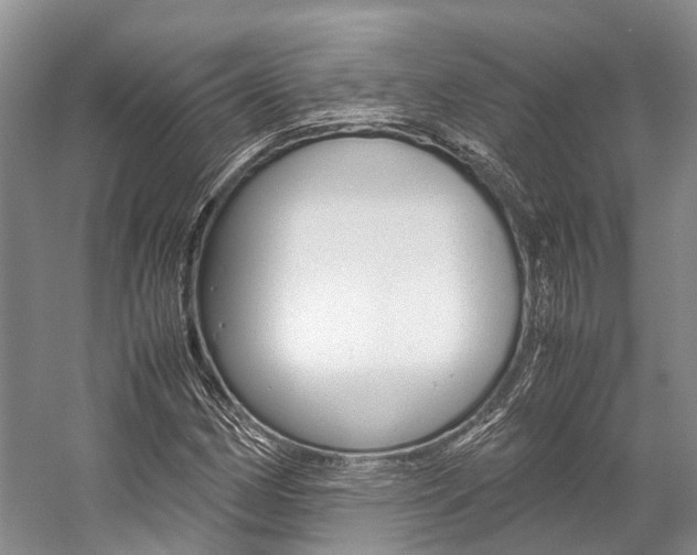 X0000059231162200510140819