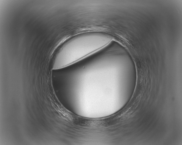 X0000059231163200510140819