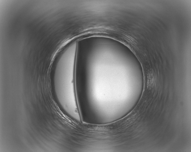 X0000059231164200510140819