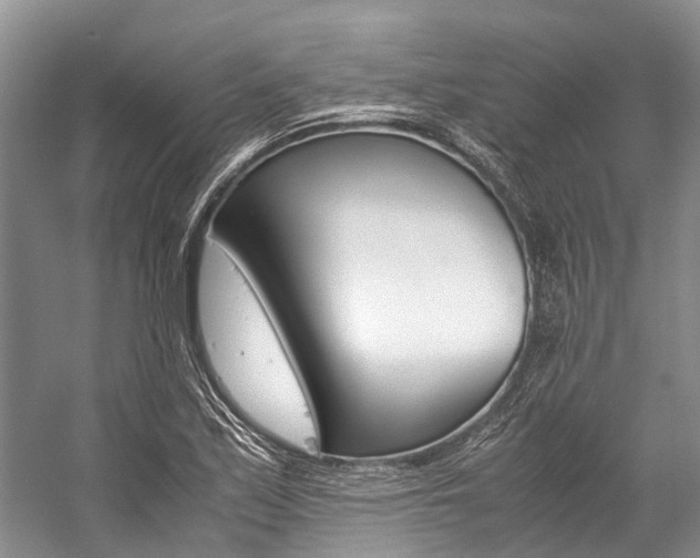 X0000059231171200510140818