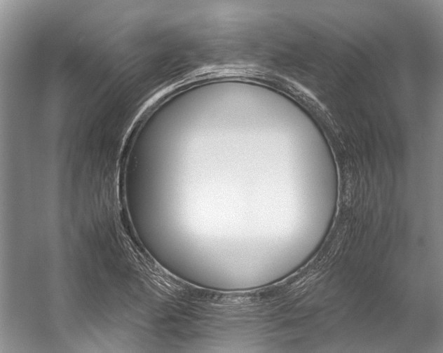 X0000059231174200510140818