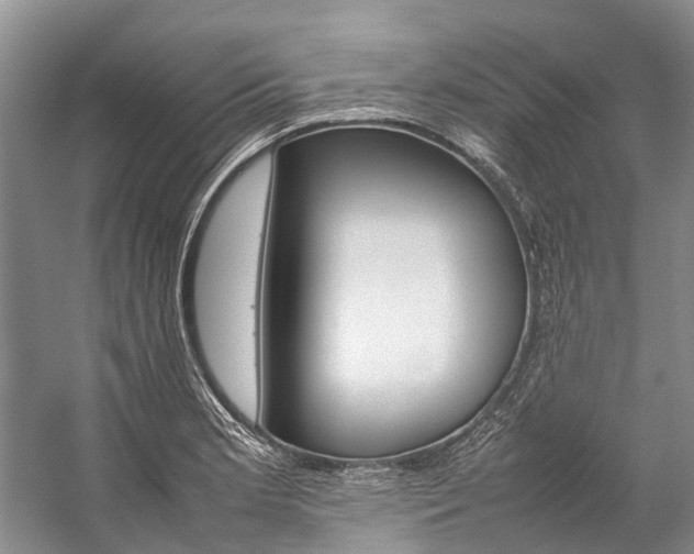 X0000059231181200510140818